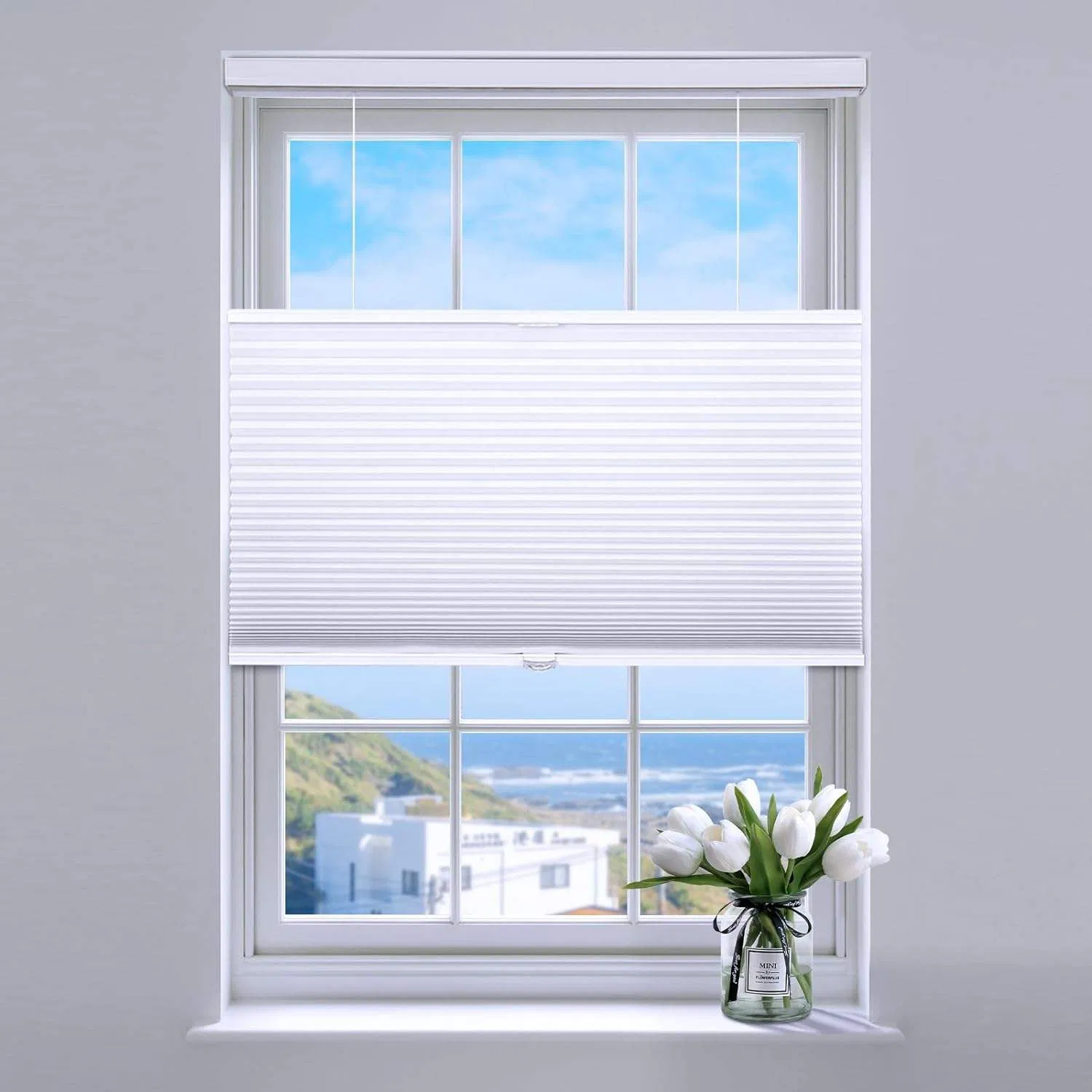 Good Selling Skylight Top Down Bottom up Cellular Shades Honeycomb Blinds
