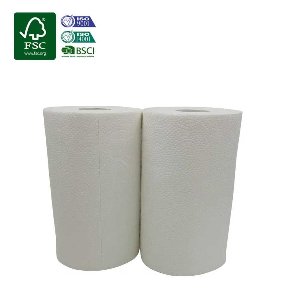 Household 2 Ply Kitchen Cleaning Paper Tissue Towel Kitchen Paper in Rolls