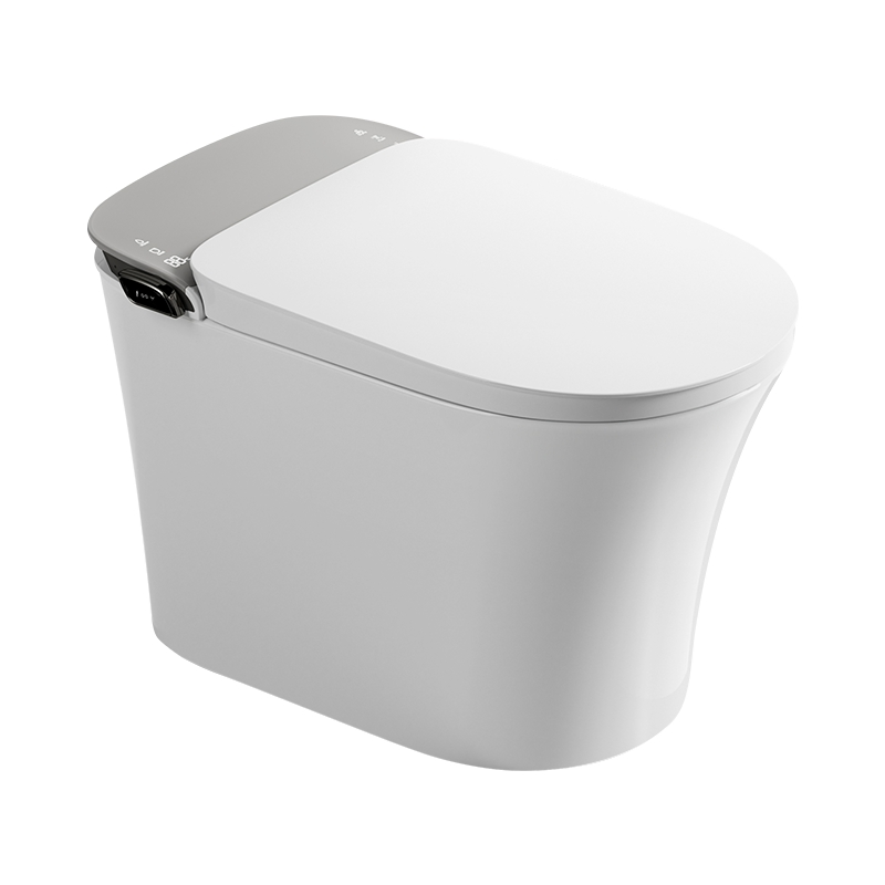 Luxury Modern Intelligent Toilet Integrated Ceramic Remote Control Intelligent Toilet Seat
