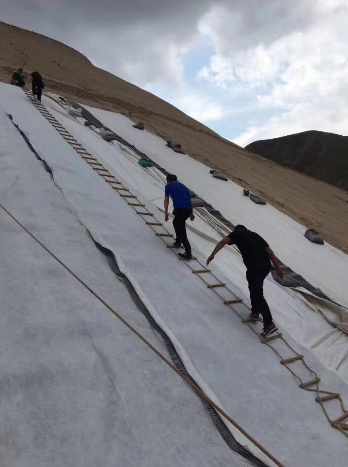 Composite Geosynthetics Net Drainage Network for Drainage Layer Geonet Geomat