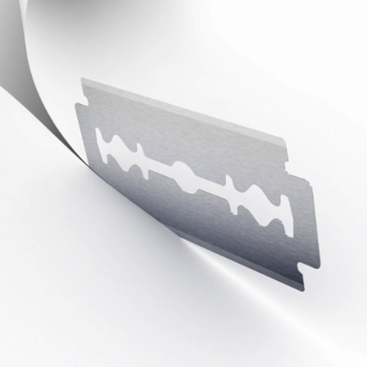 Twin Blade Disposable Razor with Lubricant Strip for Hotel