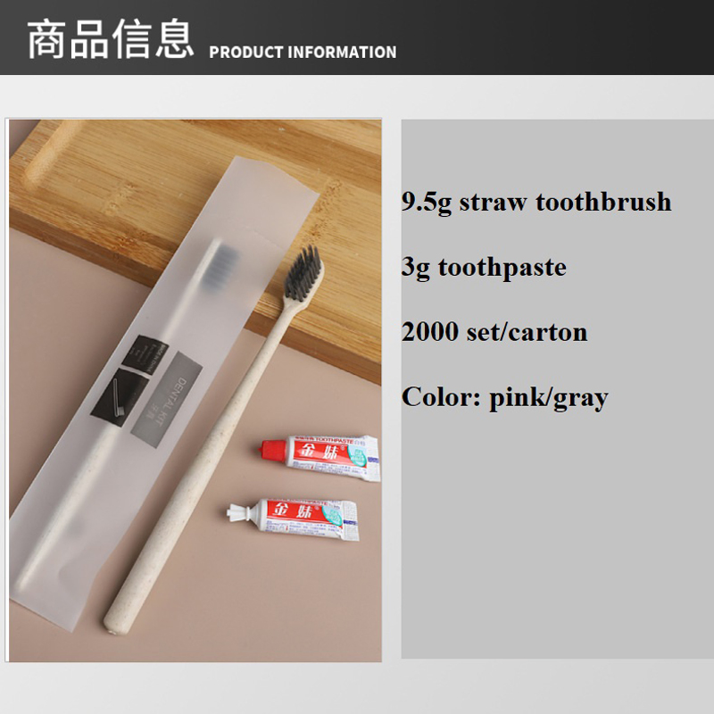 Compact Travel Dental Kit with Hotel Toothbrush and Mini Toothpaste