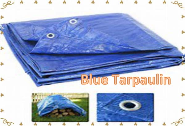 150GSM 3000# Waterproof Blue Sheet Tarpaulin PE Tarp