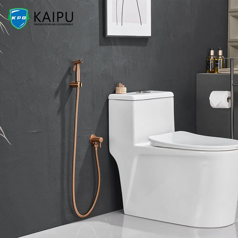 Bidet Set Spray Gun Healthy Faucet