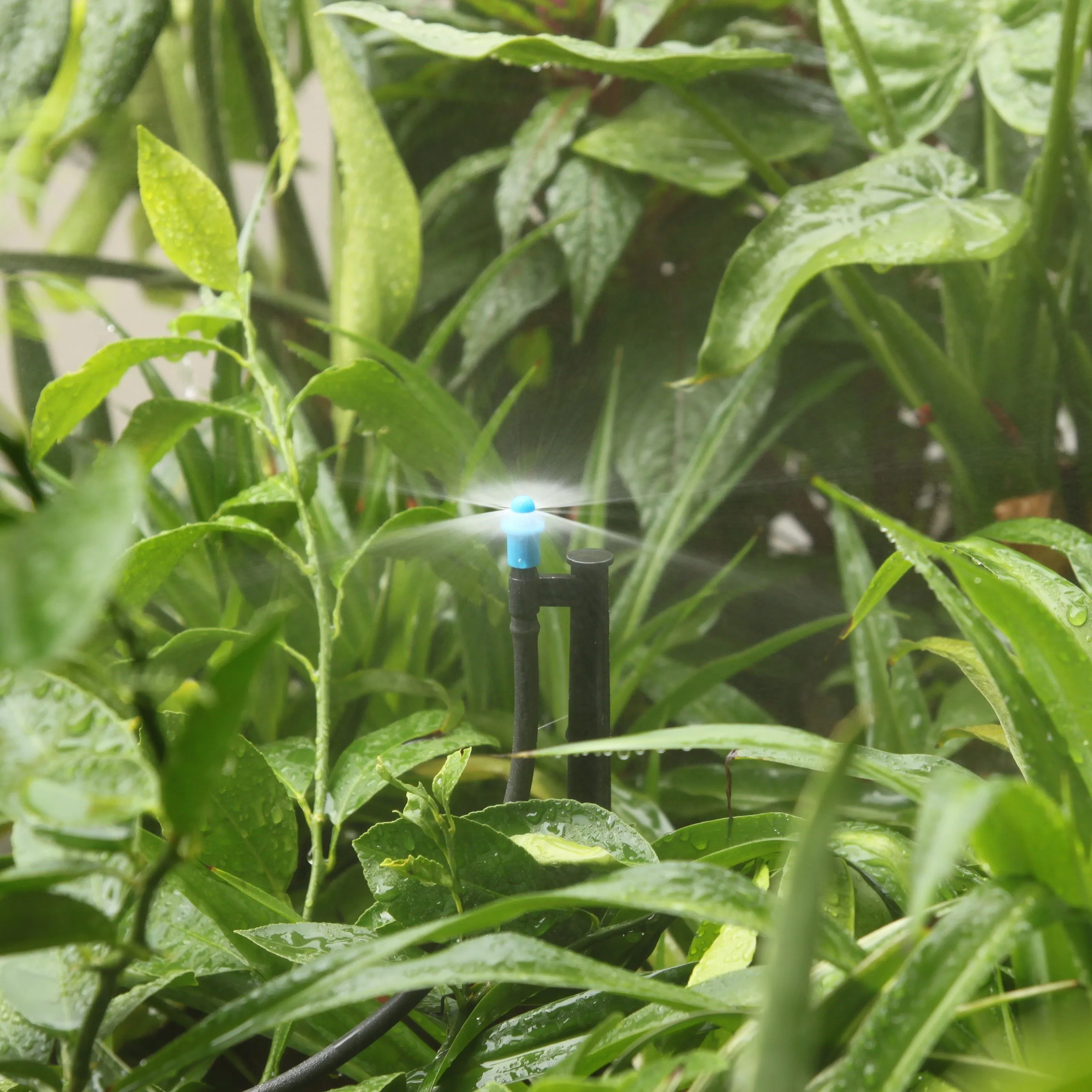 Micro Irrigation Plastic Sprinkler Simple Export Design for Agriculture