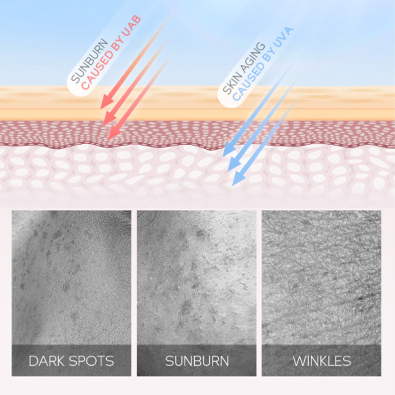 Beauty Cosmetics Skin Care UV Protection SPF 50+ Sunscreen Lotion