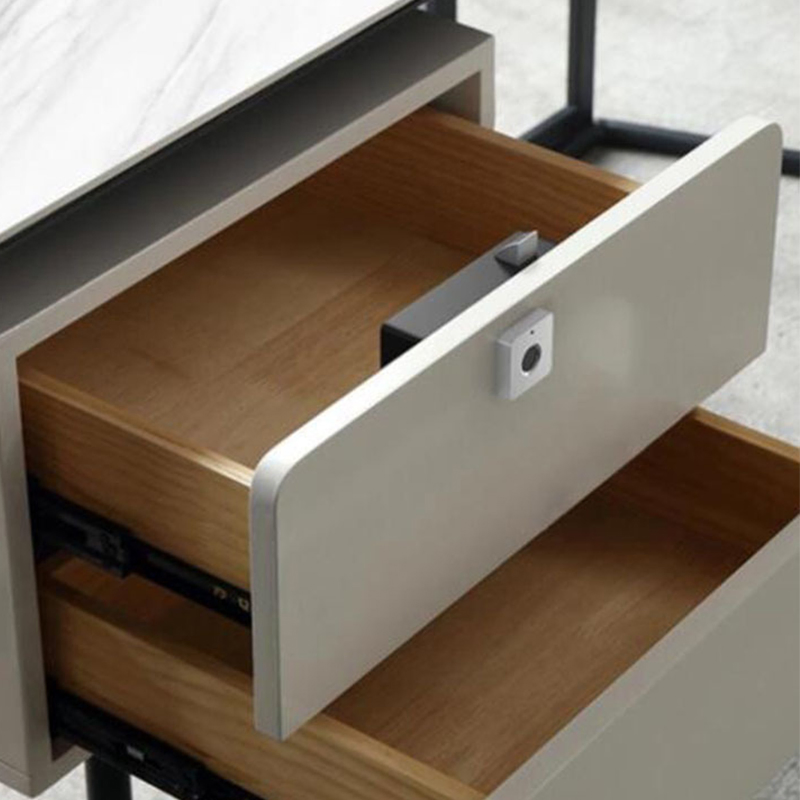 Intelligent Fingerprint Furniture Lock Cabinet Lock