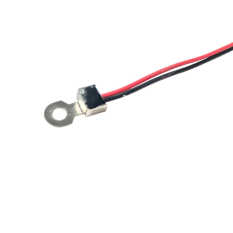 BMS Thermistor Temperature Sensor Kit