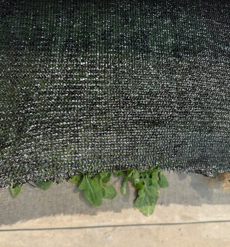 Agricultural UV & Sun Resistant Shadow Fabric 30%-95%