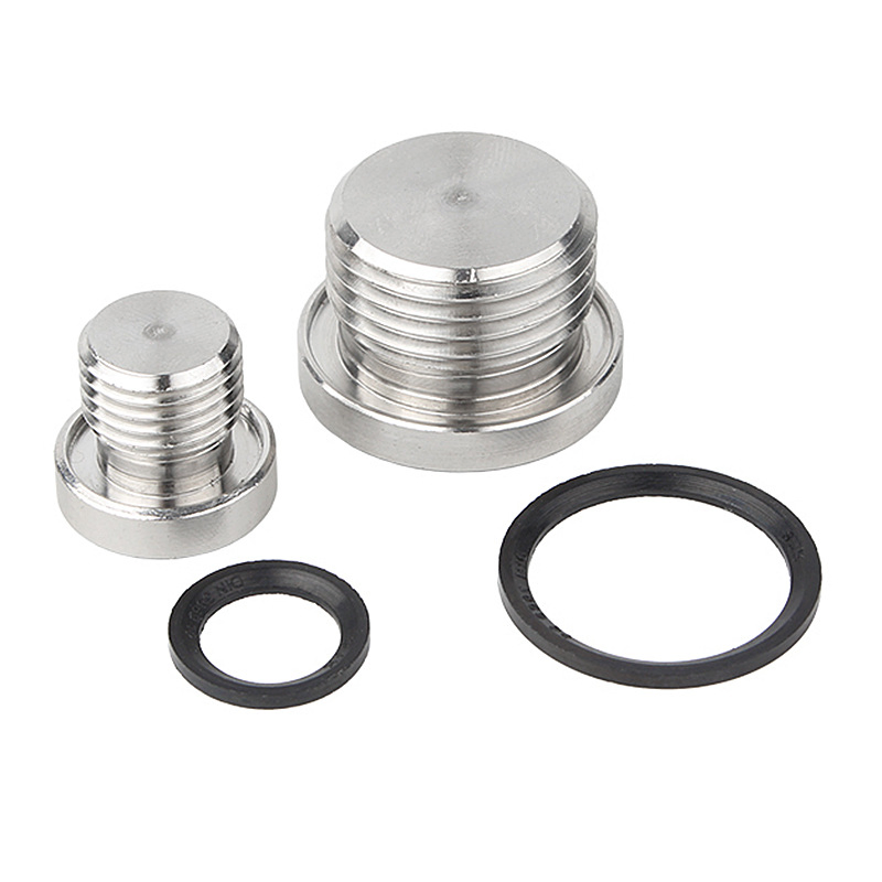 304 Stainless Steel Countersunk Plug Solid with Flange Hex Head ED Plug