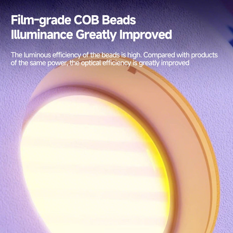 Miaotu 200W Dimmable Bi-Color LED Video Light, 2700-6500K Adjustable Color Temperature Continuous Light for Camera/DSLR, Professional Studio Lighting OEM/ODM Ma