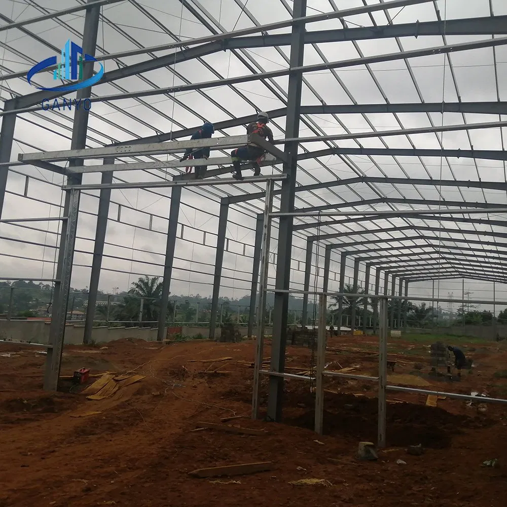 Steel Structure Workshop/Steel Structure Warehouse/Steel Building