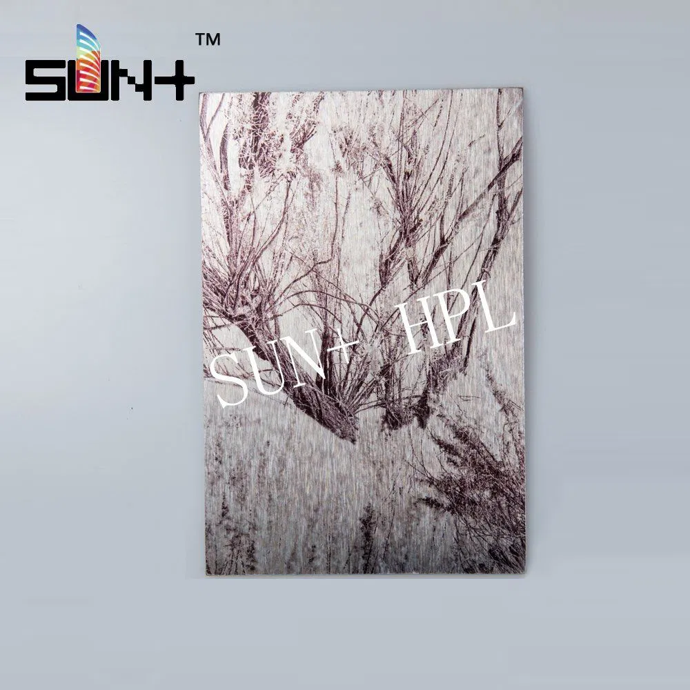 Cabinet Compact Fireproof HPL Panel High Pressure Laminate Board for Bathroom and Furniture