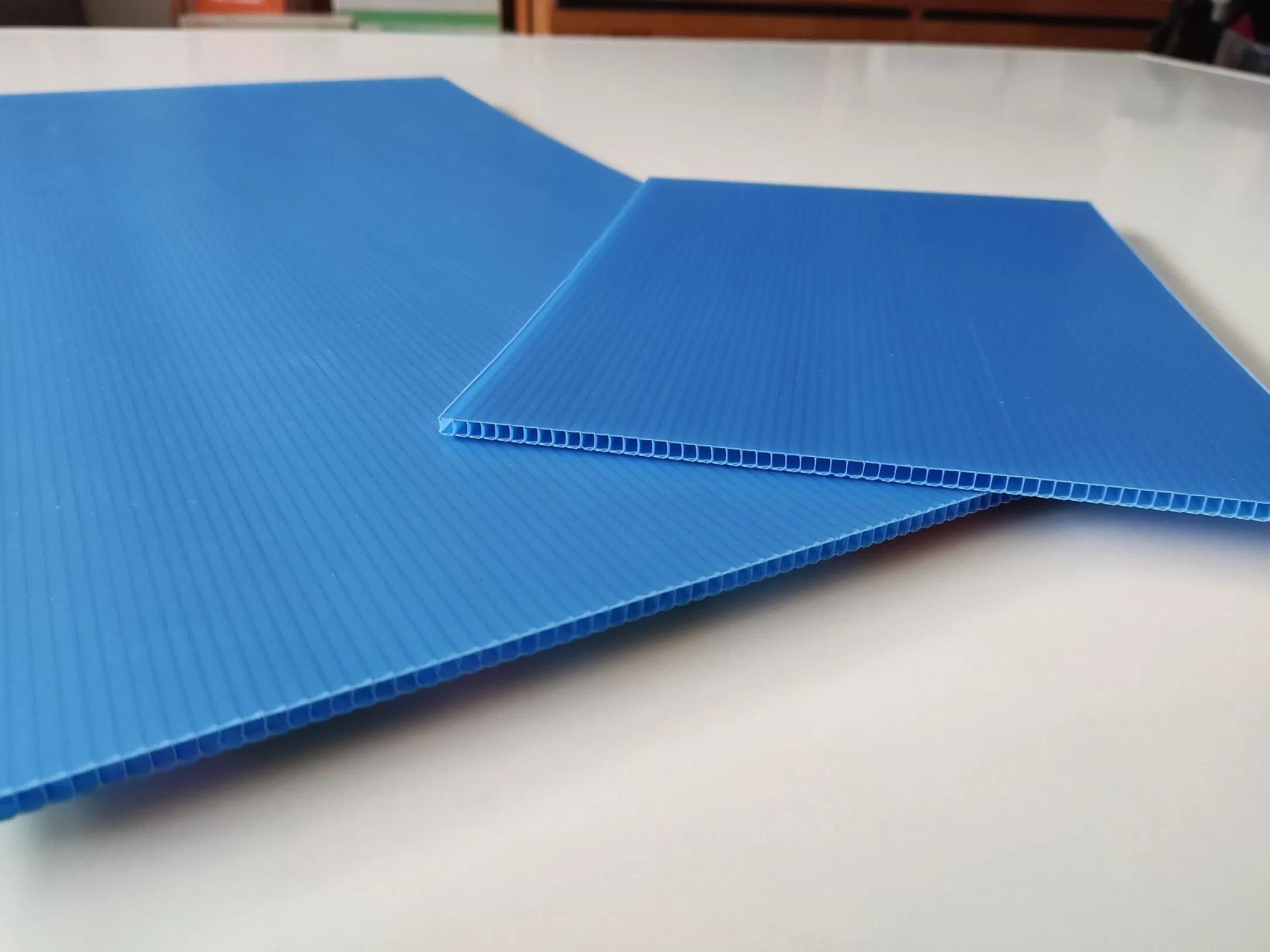 Blank Corflute Corrugated Plastic Advertising Board Display with Printing Service