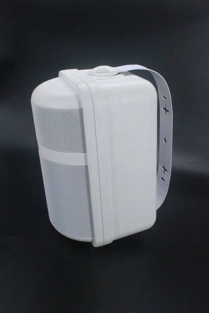 Tianlai 6.5inch Speakers for Sale Home Audio & Accessories Wall Mounted Speaker System