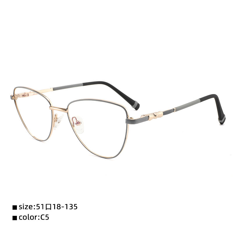 Ew Metal Teens Eyeglasses Fashion Design Optical Frame High Quality Coating Optics Glasses