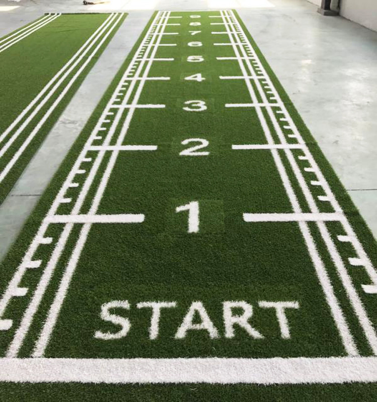 Hight Quality 25mm Artificial Scale (green/black) Grass