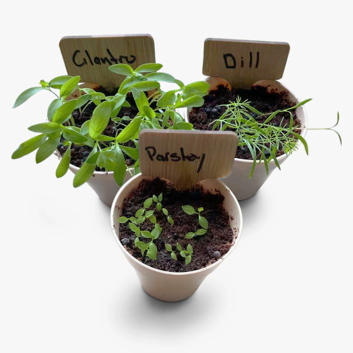 Набор садовый с искусственными цветами и напольным горшком