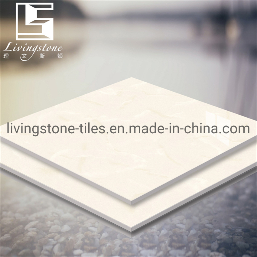 600*600mm Iceberg Snow Lotus Series Matt Finish Building Material Floor Cement Garden Hotel Tile
