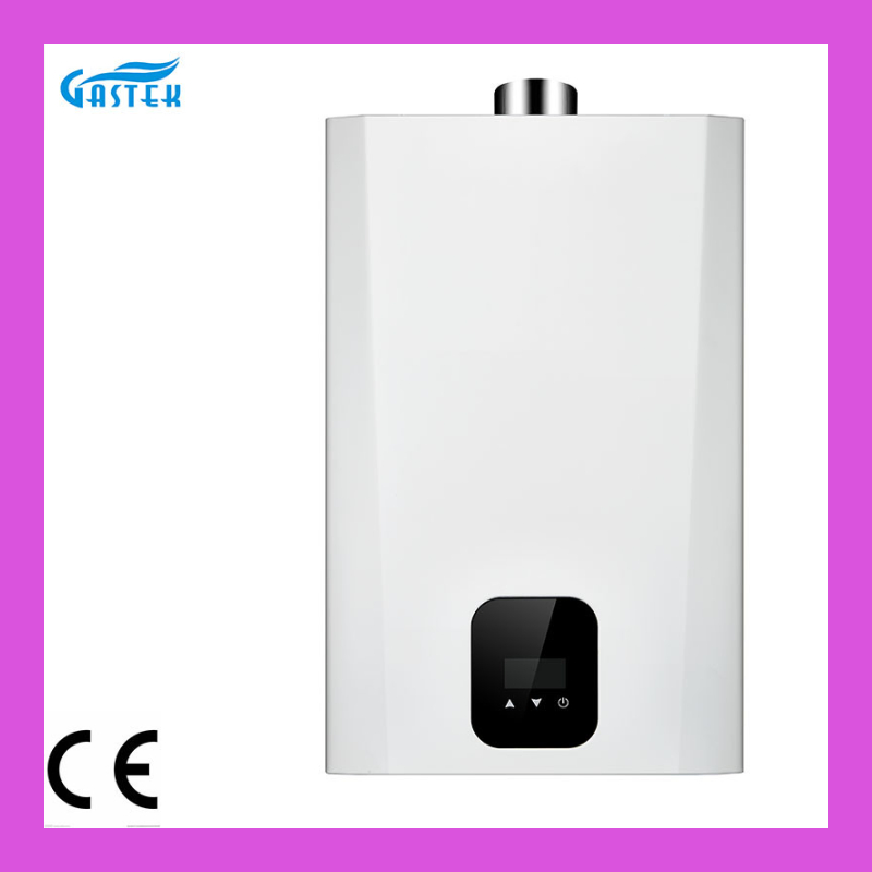 Wholesale Balance Type Wall Mounted Gas Boiler with CE Certificate