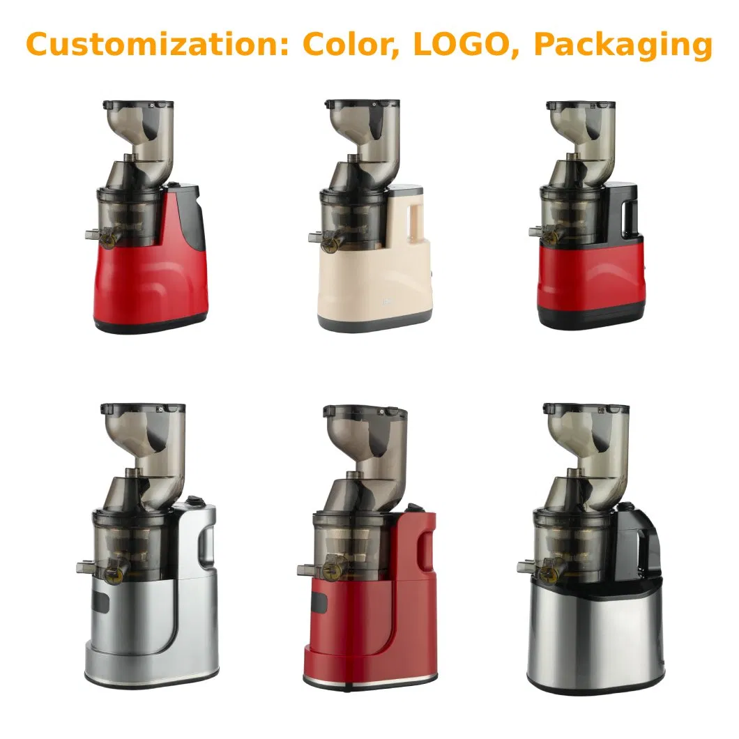 Slow Juicer for Fruit Vegetable Juices with Easy-Clean Removable Components