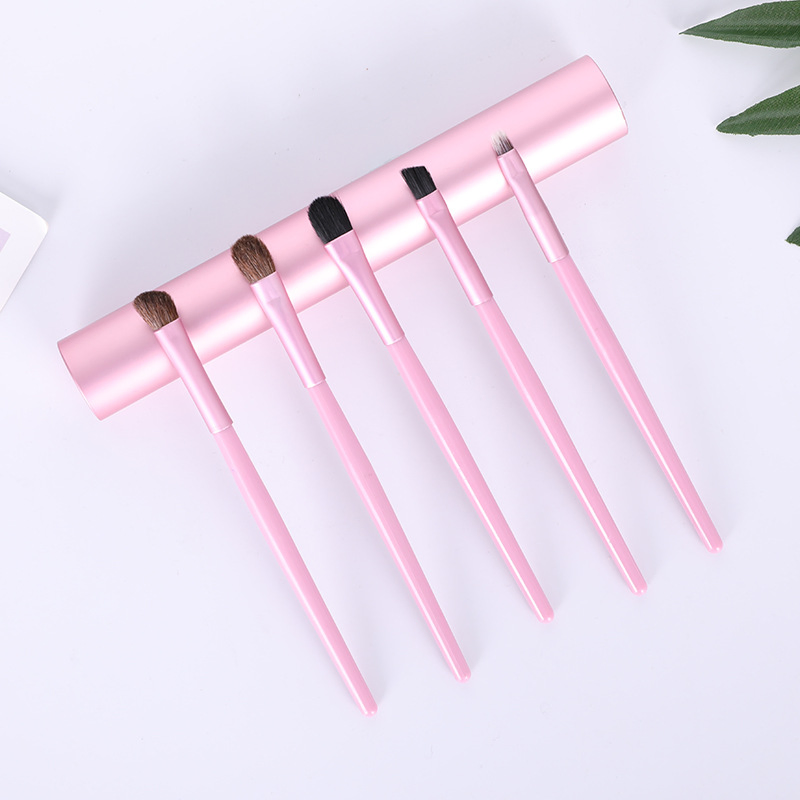 Mini Makeup Brushes Set with Case Included Eyeshadow, Eyebrow, Eyeliner, Lip Esg13922