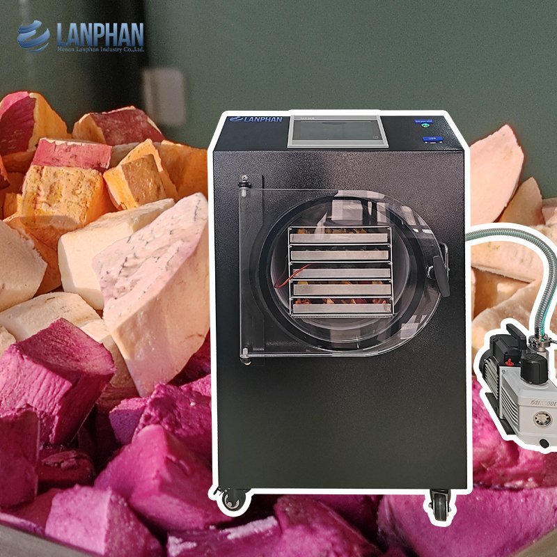 Home Use Food Fruit Vegetable Candy Liofilizador Lyophilizer Machine