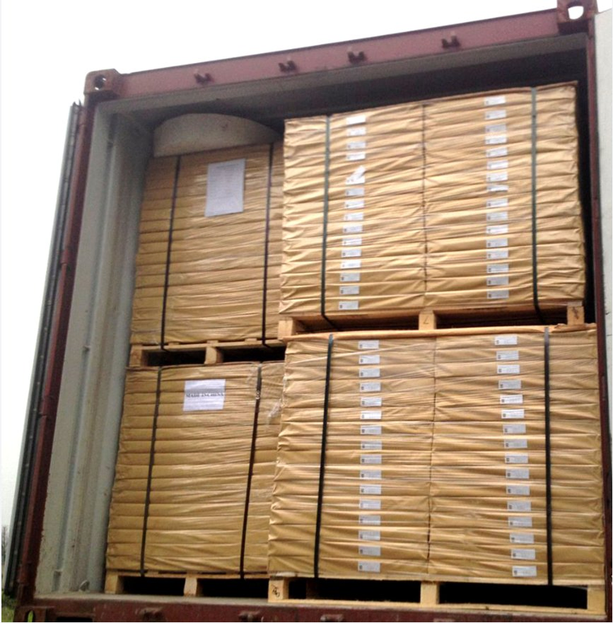 Paper Cup Raw Material Sheet Paper PE Coated 160g 210g 260g