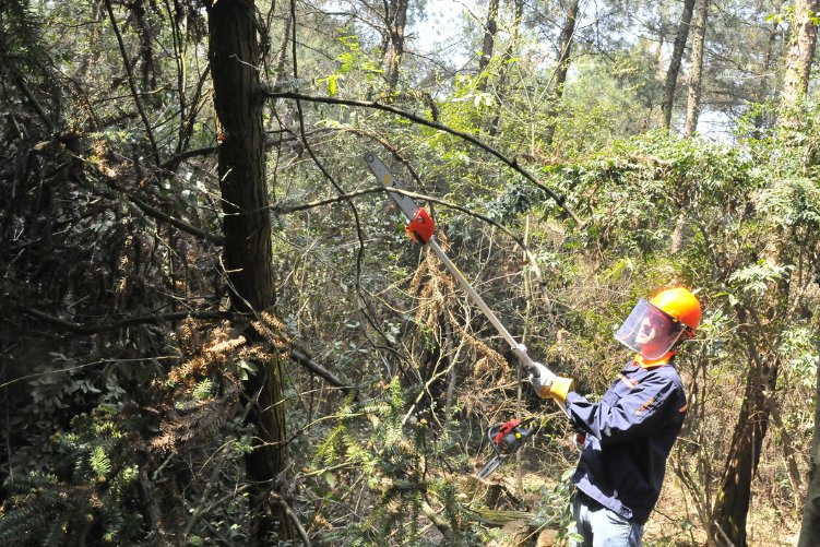 Petrol Garden New Structure Brush Cutter 33cc