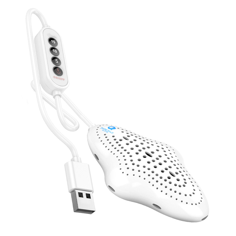 Small Electrolytic Ozone Generator Electrolytic Ozone Water Cleaning