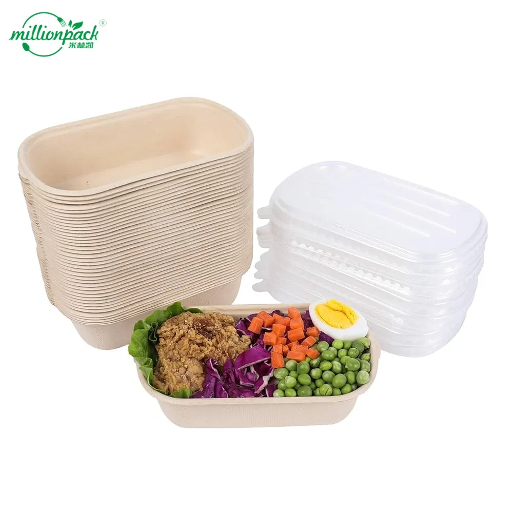 Biodegradable Disposable Bagasse Pulp Square Container for Food Packaging and Delivery
