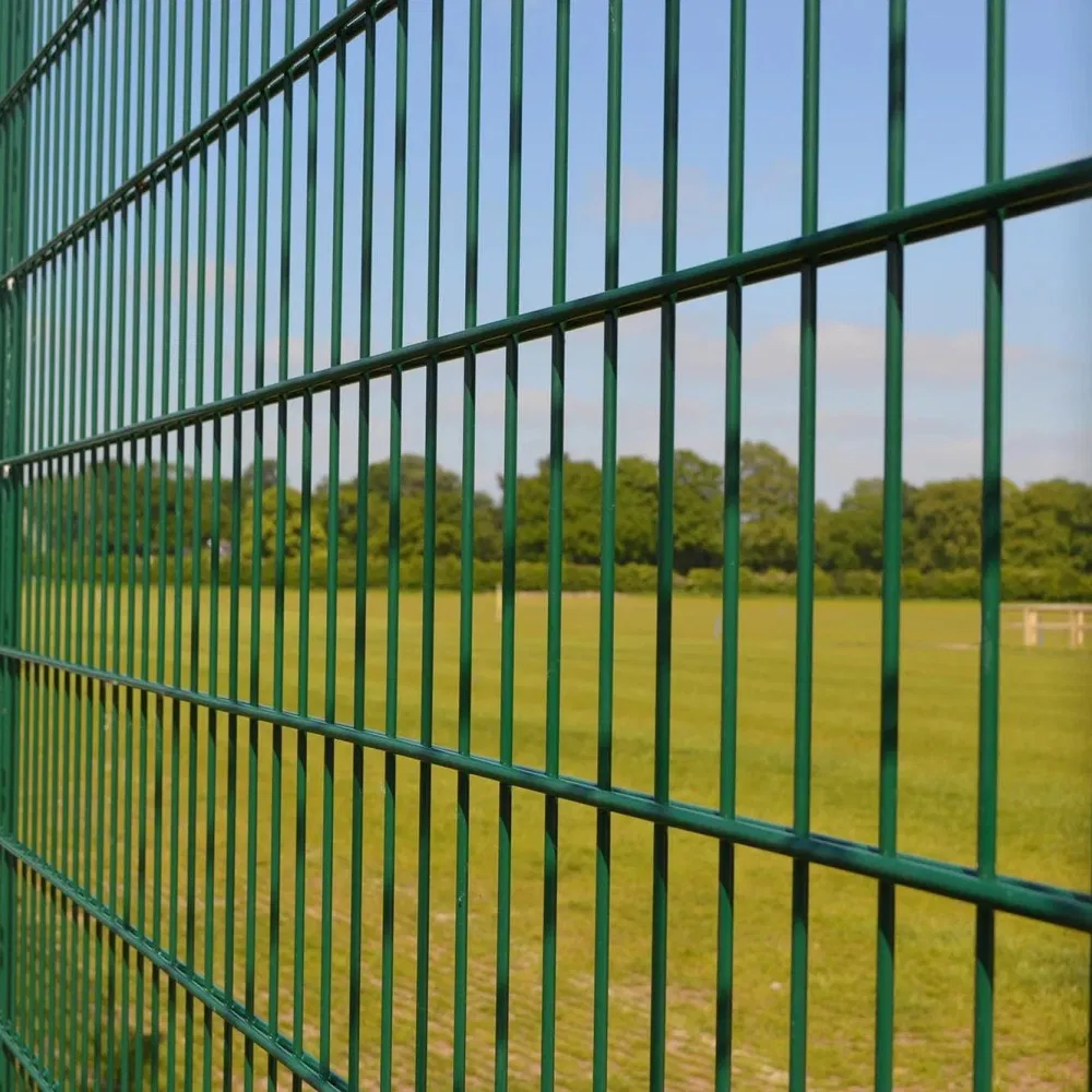 868 Double Wire Fence Factory China Double Wire Fence