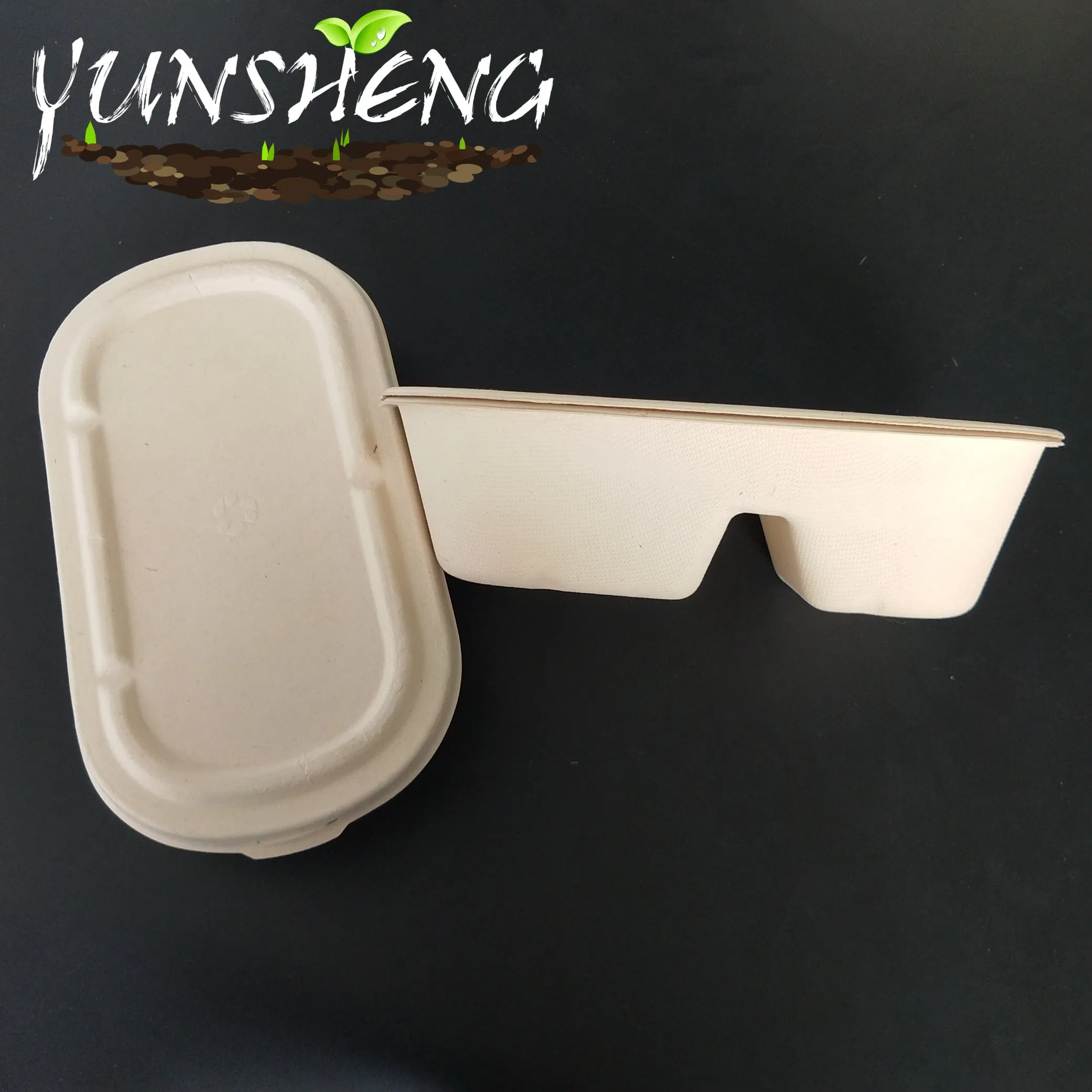 Eco-Friendly Customized Disposable Wheat Straw Paper Box with Lids Which Are Two Compartments