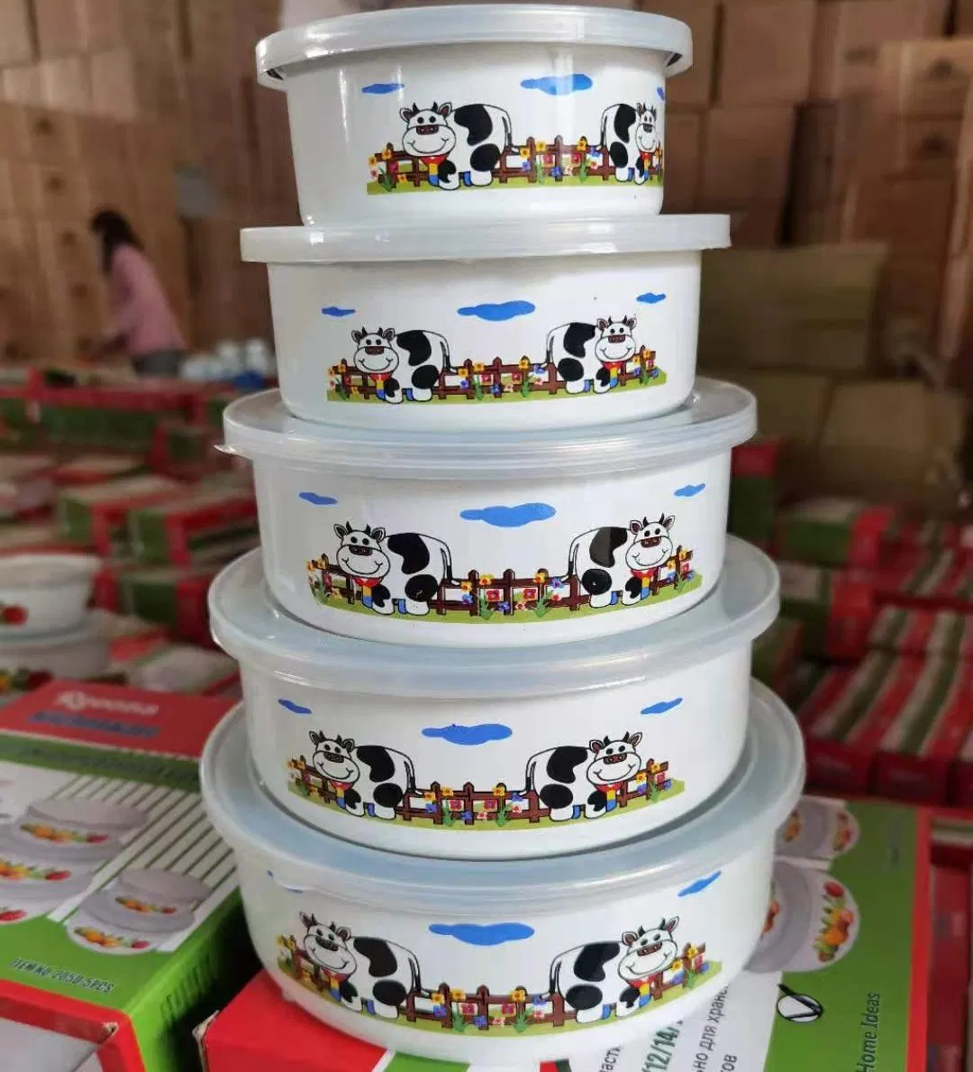 High Quality 5PCS Enamel Salad Bowl with Plastic Lid