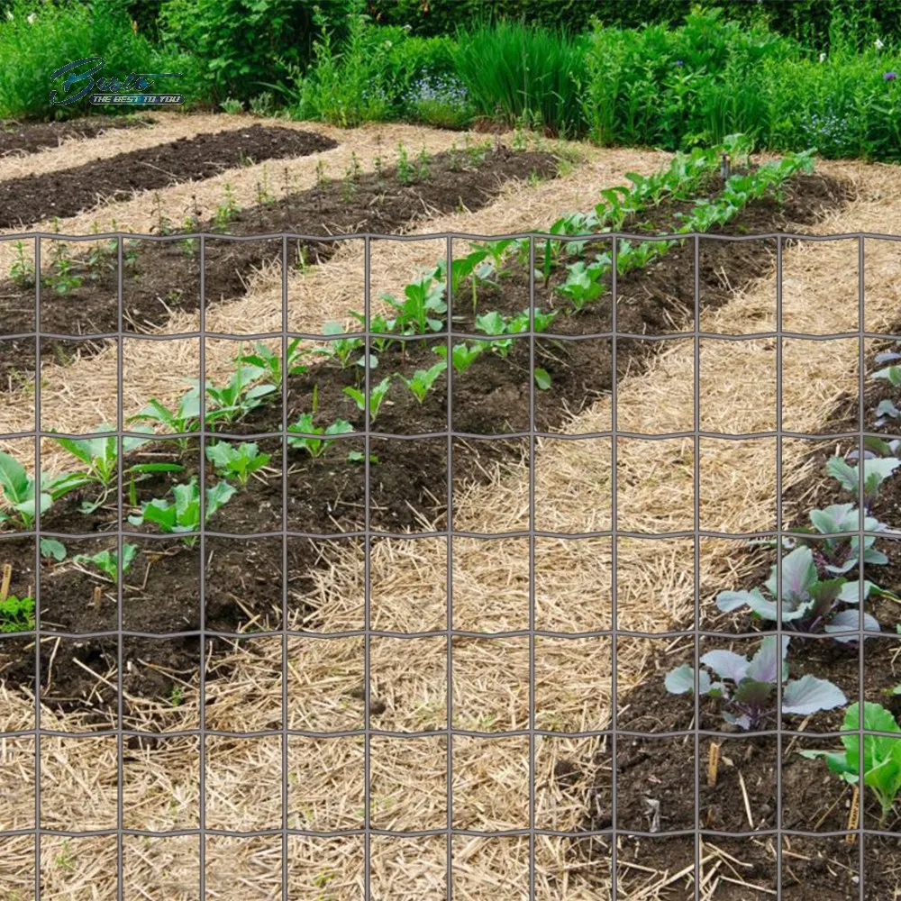 Top Selling Good Price Euro Fence for Garden