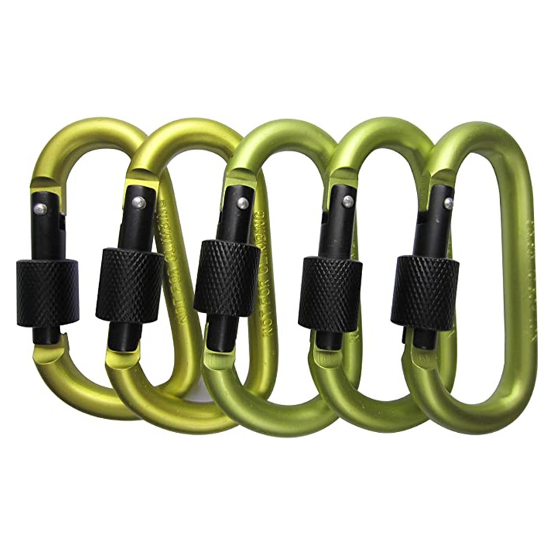 Custom Low MOQ Large Carabiner Oxidation Aluminum Carabiner Laser Engraved Logo D Shape Metal Carabiners