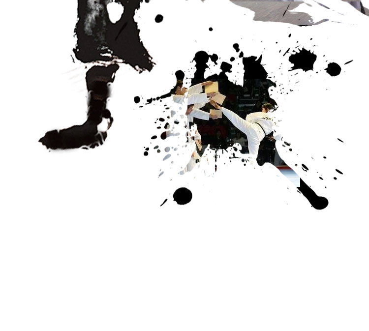 Paulownia Taekwondo Breaking Boards