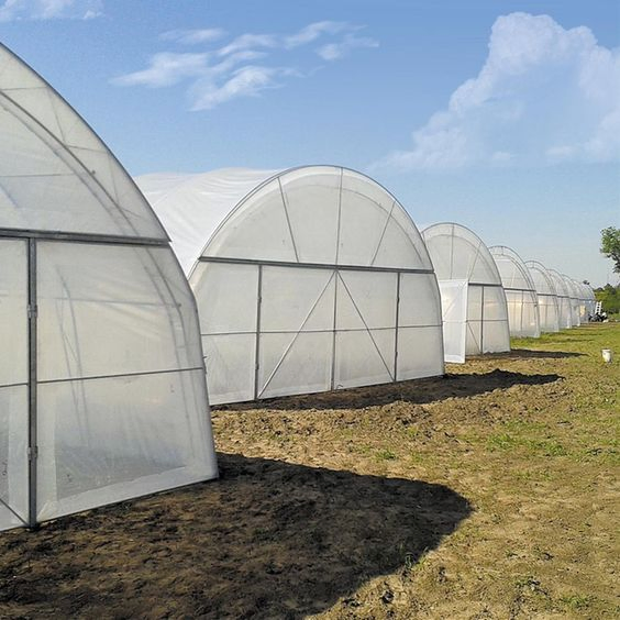 Customized Garden Products Flower House Warm Sunlight Vegetables Greenhouse with Cheap Price