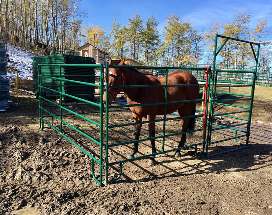Durable American Cattle Panels for Livestock Fencing Solutions