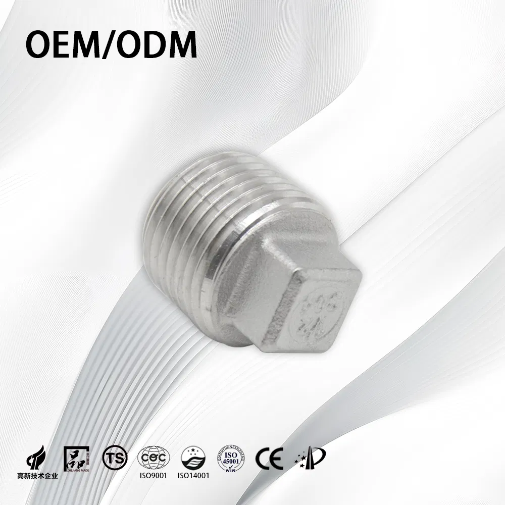 Stainless Steel Industrial Customize OEM NPT BSPT Square End Plug