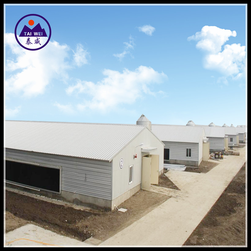Prefabricated / Prefab Steel Structure Material/Warehouse / Workshop / Construction Building for Chicken House and Egg Layer Poultry Farm (TW1091J)