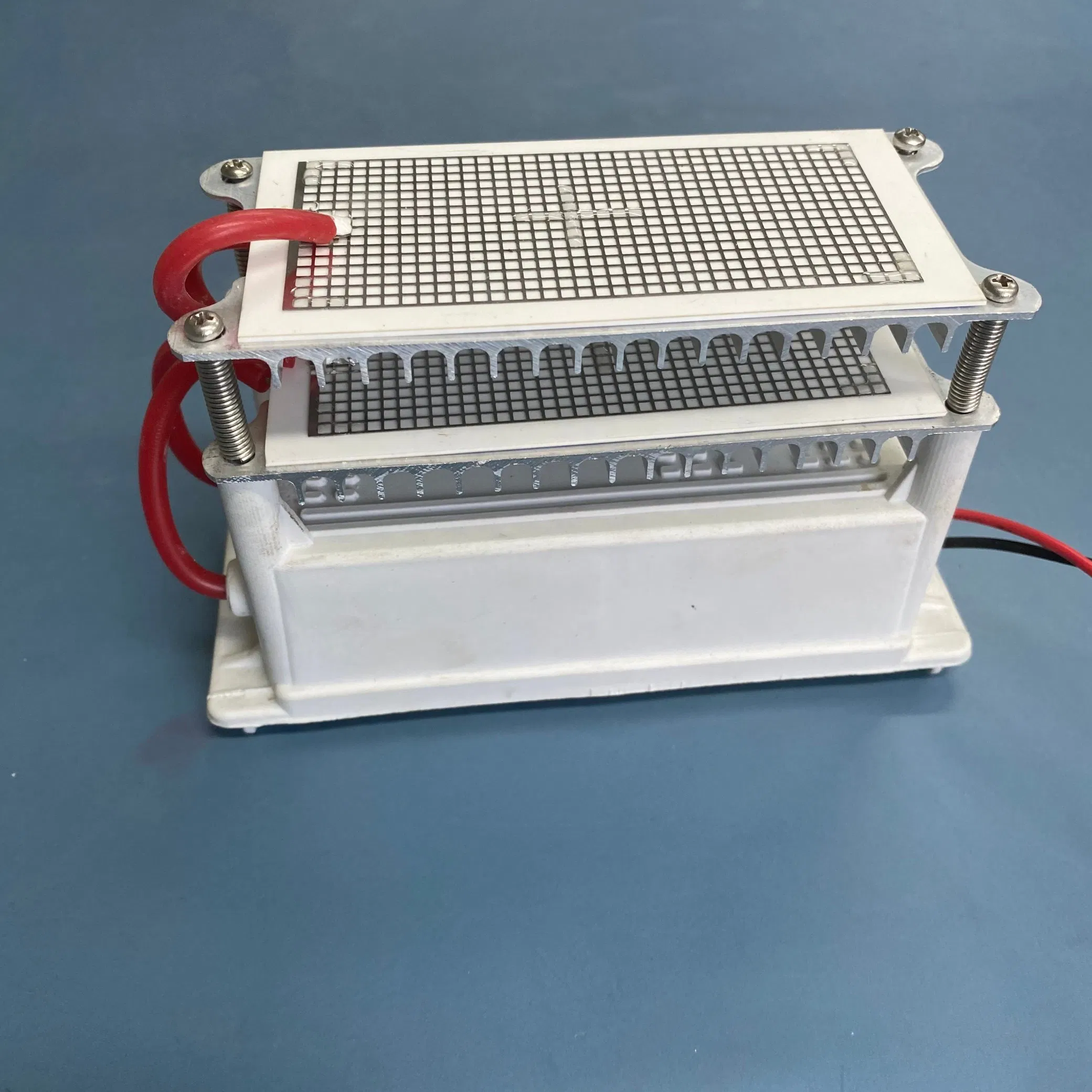 Portable Stainless Steel Mesh Ceramic Ozone Generator Module for Air Sterilizer