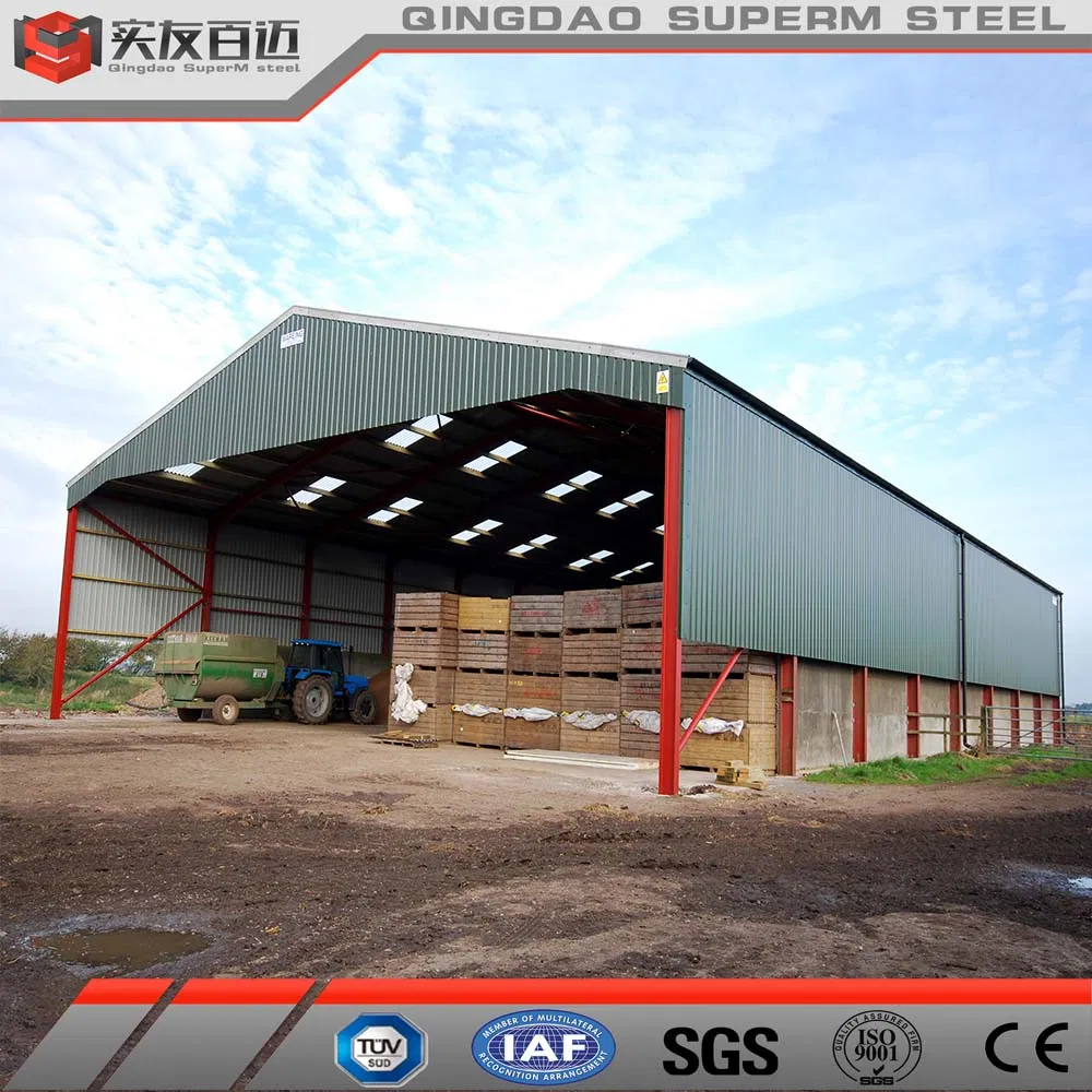 Prefabricated Steel Structure Warehouse Metal Frame Shed Building Construction