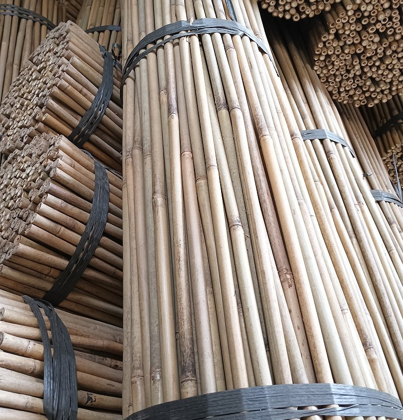 Bamboo Pole Bulk Supplier/Bamboo Plant Support