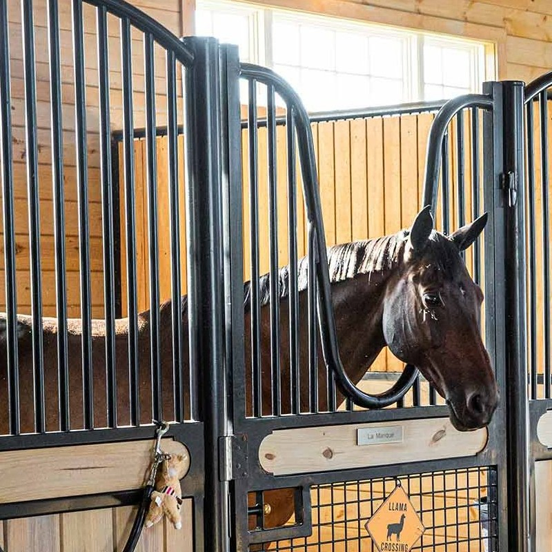 Horse Box Wash Barn Stall Steel Panel Custom Outdoor Horse Stable