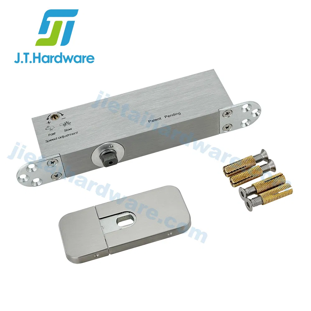 Concealed Wooden Door Hardware Adjustable Center Bottom Pivot for Factory Price