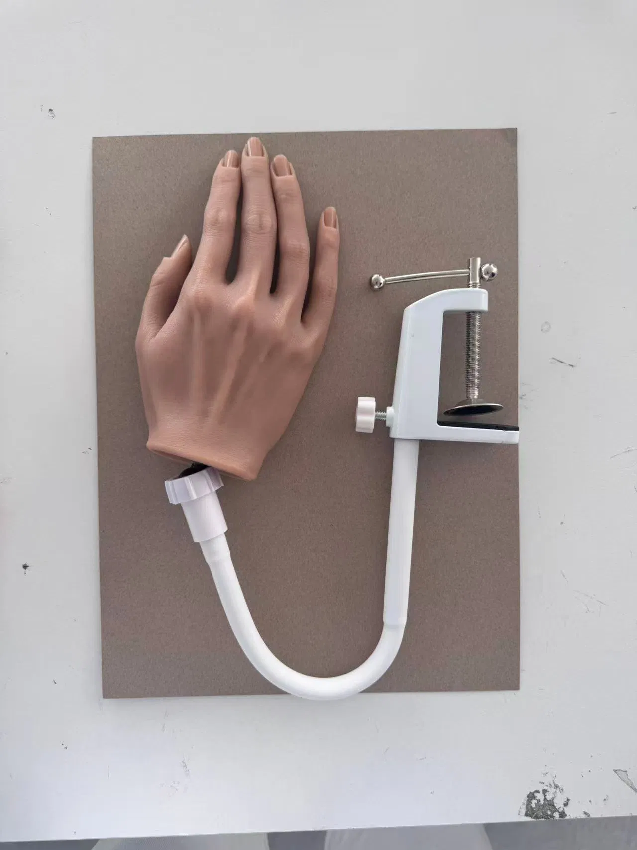 Hand Painted Model