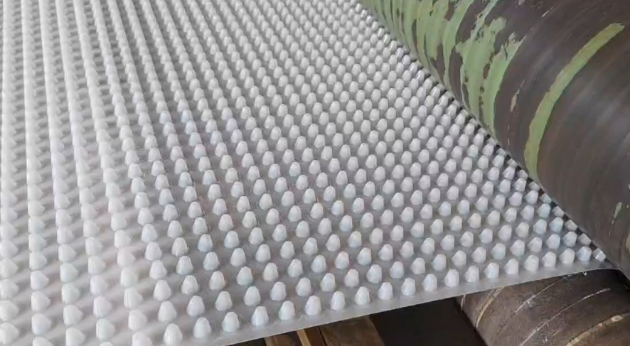 Dimple Board Plastic Green Roof Panel Dimple Drainage Cell 8/10/12/16/20 mm Matting Board Waterproof