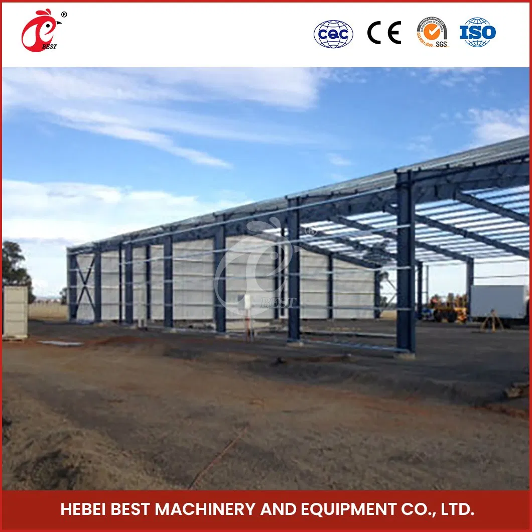 Bestchickencage Steel Poultry House China Layer Steel Chicken Cage Supplier ODM Custom Steel Structure Prefab Poultry House Poultry Farming