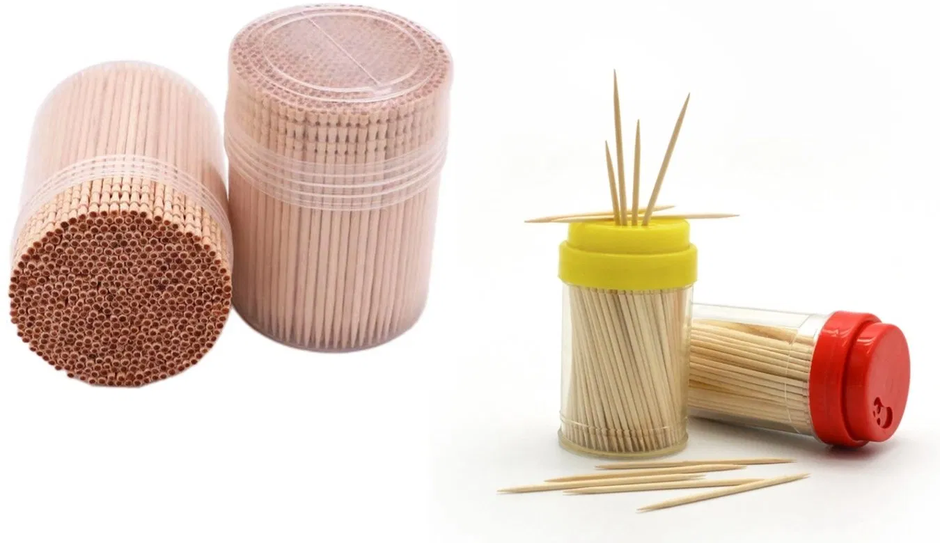 Toothpick Carved Birch Wooden Personalized Disposable Carton Natural Tableware
